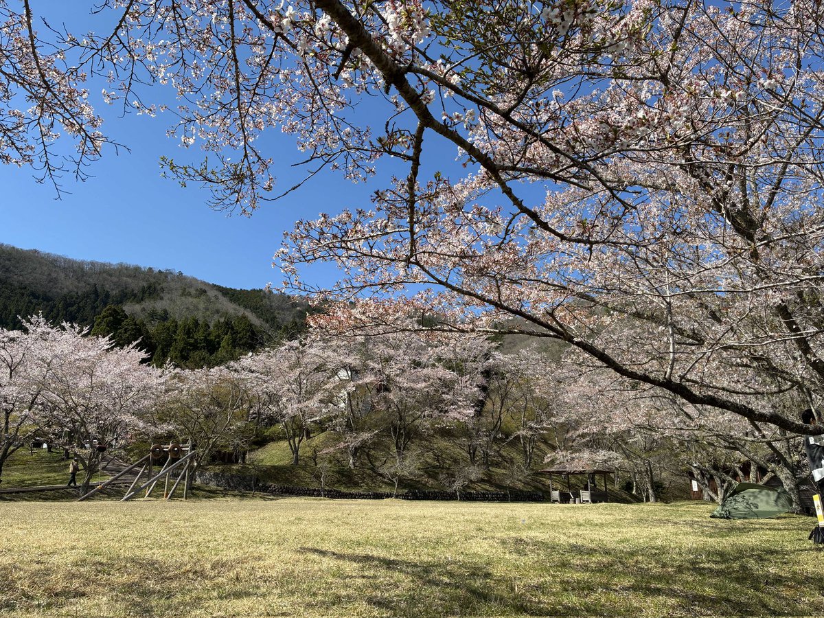 みるふぉん tweet media