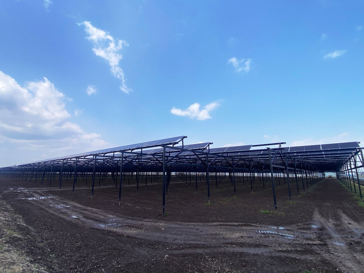 ainergy_jp's tweet photo. 2026年4月3日、宮城県美里町にて、
国内最大級の営農型太陽光発電設備が竣工しました！

水田約3.9万㎡に設置された本設備は、
稲作と発電を両立します。
発電電力は隣接工場の約8割���まかなう計画です。

弊社は設計・資材調達・施工監理を担当しました。
引き続き、再エネ普及に貢献してまいります！ https://t.co/SpMQ4vVrxs