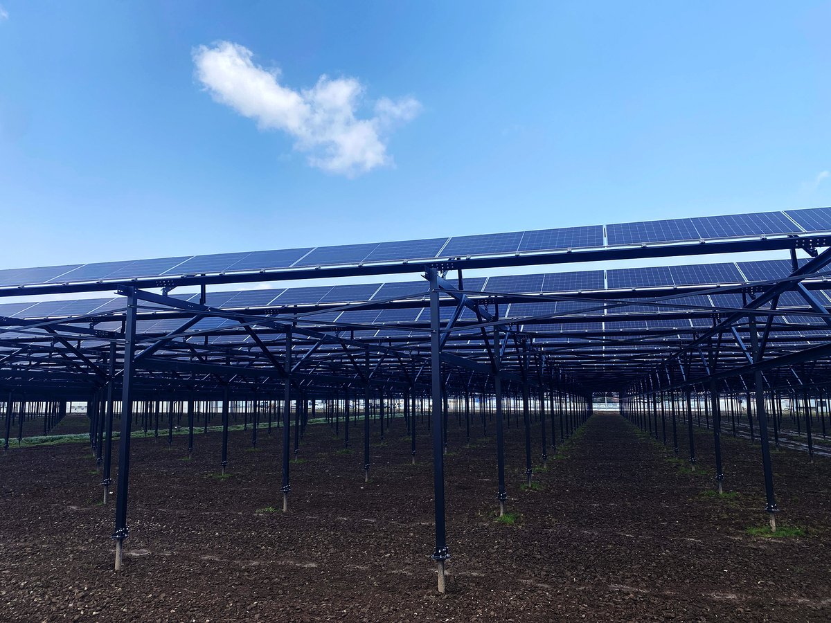 ainergy_jp's tweet photo. 2026年4月3日、宮城県美里町にて、
国内最大級の営農型太陽光発電設備が竣工しました！

水田約3.9万㎡に設置された本設備は、
稲作と発電を両立します。
発電電力は隣接工場の約8割���まかなう計画です。

弊社は設計・資材調達・施工監理を担当しました。
引き続き、再エネ普及に貢献してまいります！ https://t.co/SpMQ4vVrxs