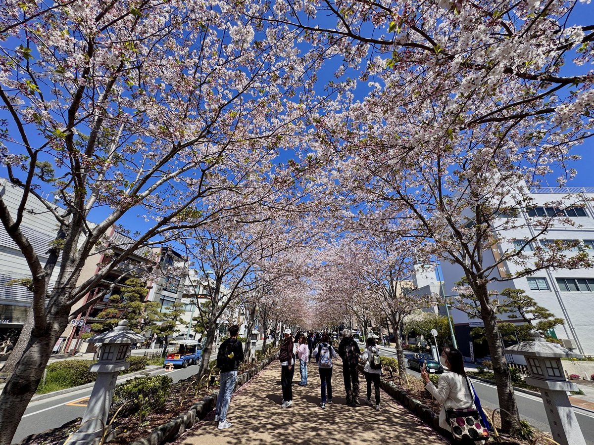 Hirokazu MORI tweet media