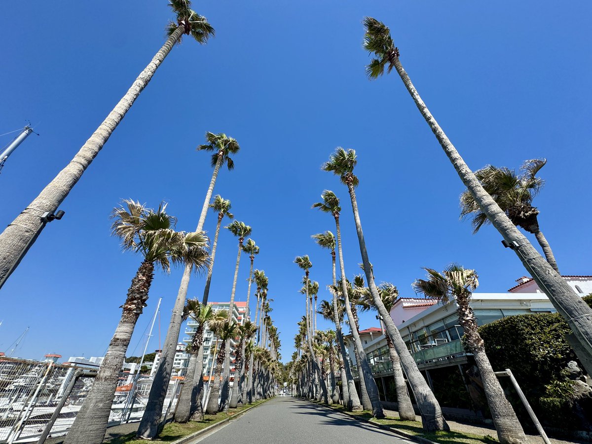 Hirokazu MORI tweet media