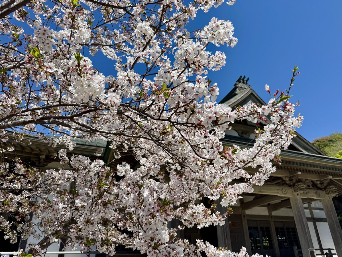 Hirokazu MORI tweet media