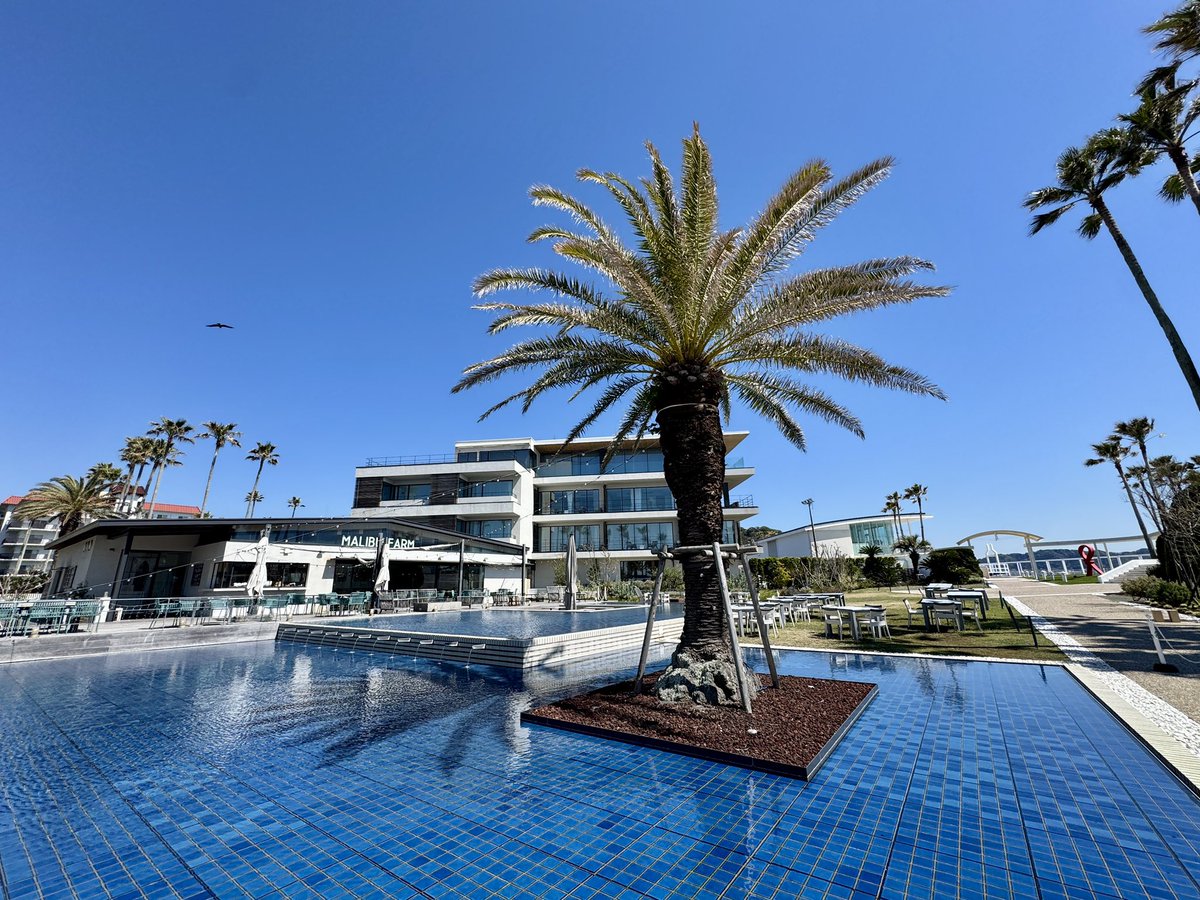 Hirokazu MORI tweet media