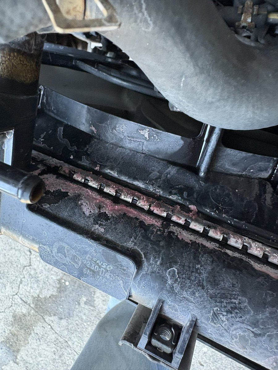 Ａ.オリゼー tweet media