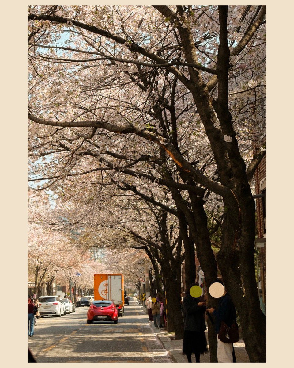 ˗ˏˋᄅᆼᆿᆼ( *´ސު`*) ₊˚⊹🔆🫧 tweet media