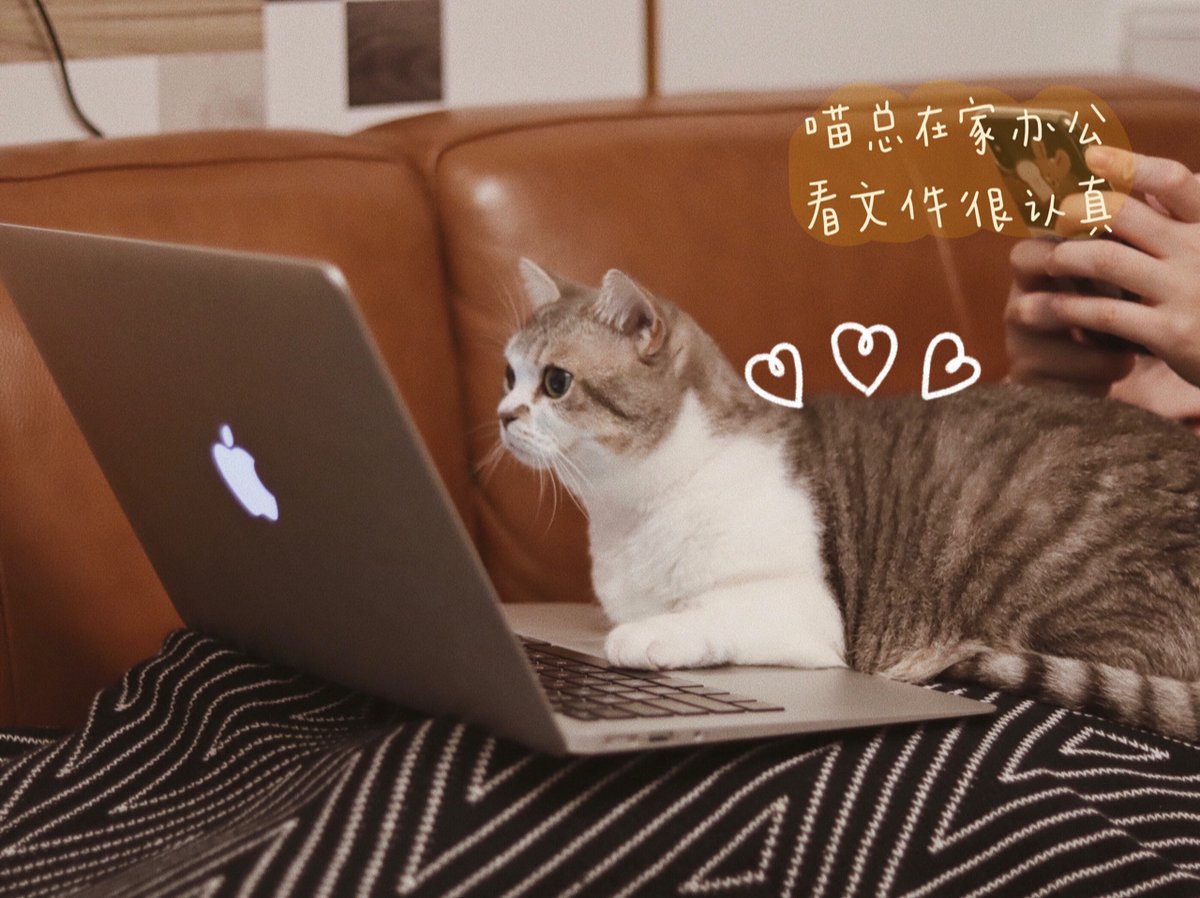 joelkevyan tweet media