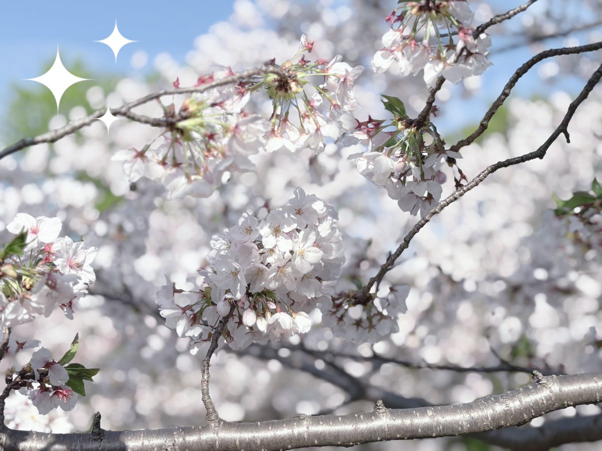 わか@マルハン西日本人事課 tweet media