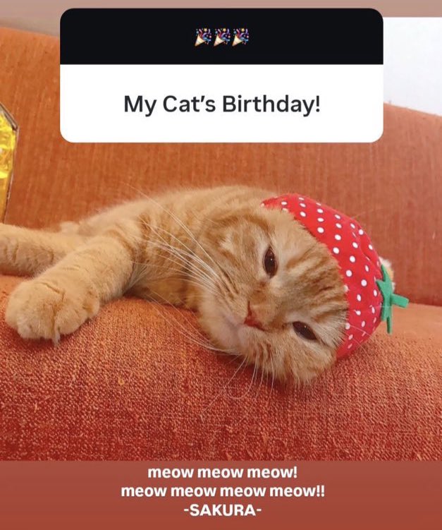 jami ꒰𑁬໒꒱ g6ldwing 🎉 tweet media