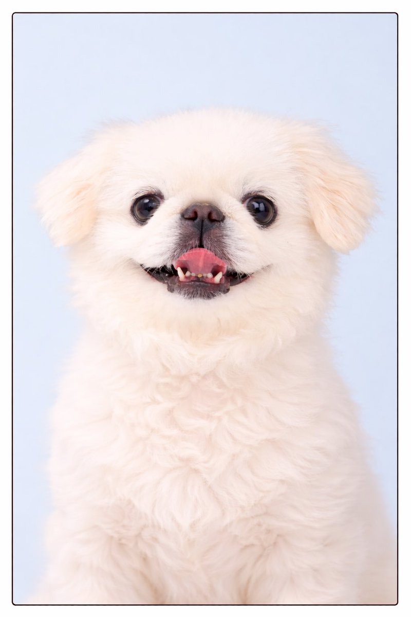 もっちむ。 tweet media