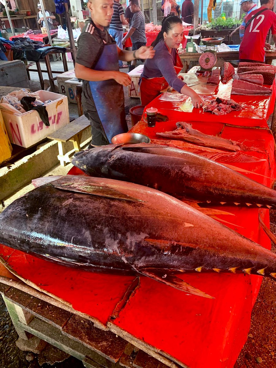 (Om) Adit tweet media