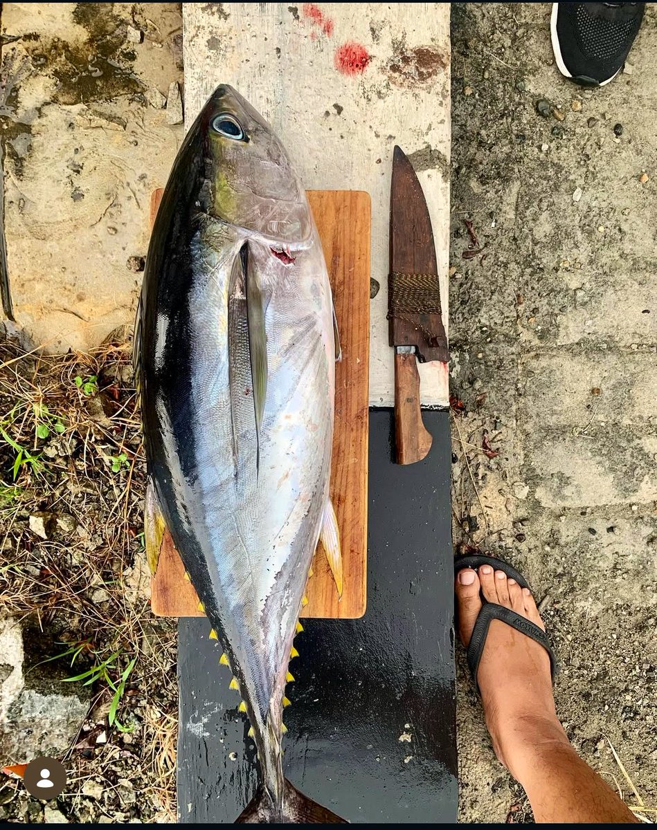 (Om) Adit tweet media