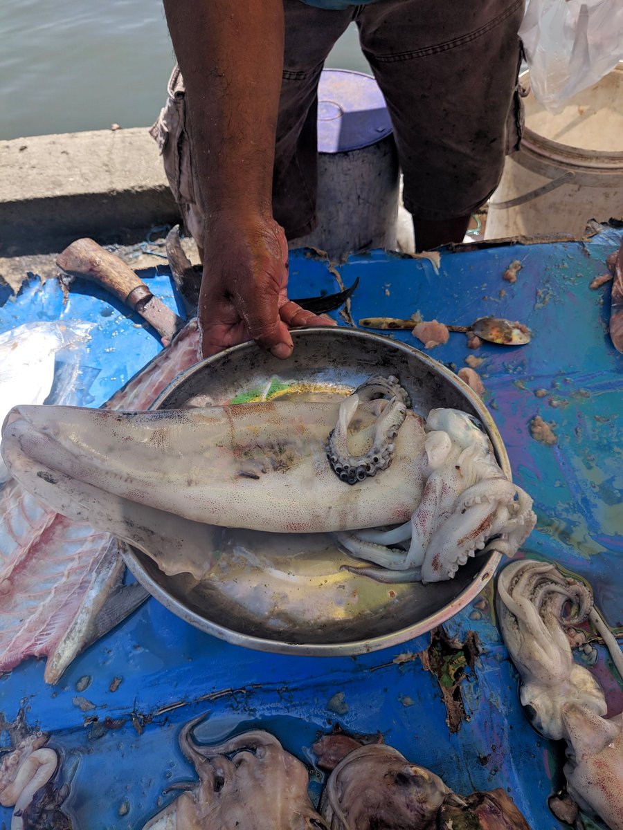 (Om) Adit tweet media