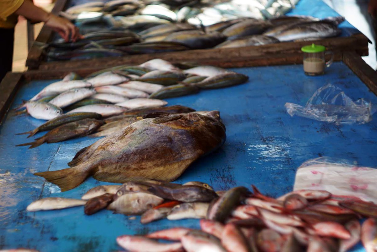 (Om) Adit tweet media