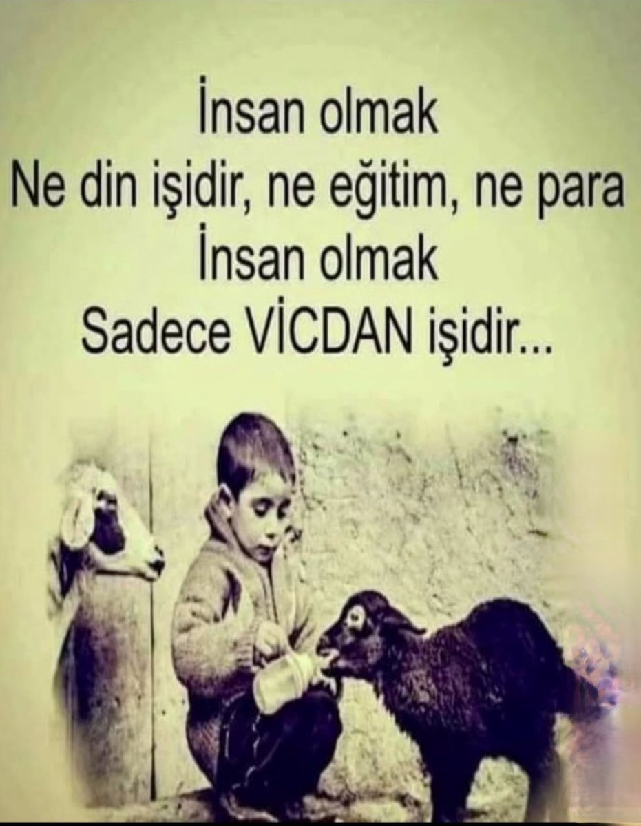 mdoganermenek's tweet photo. https://t.co/tw0BESuXah