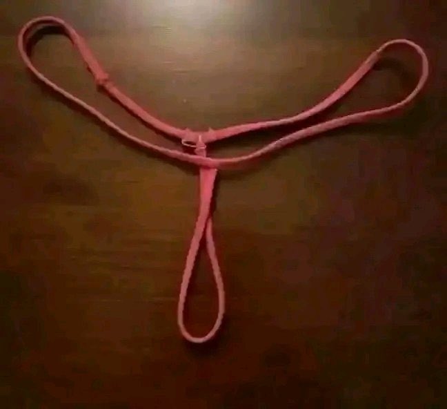 wfzprobity tweet media