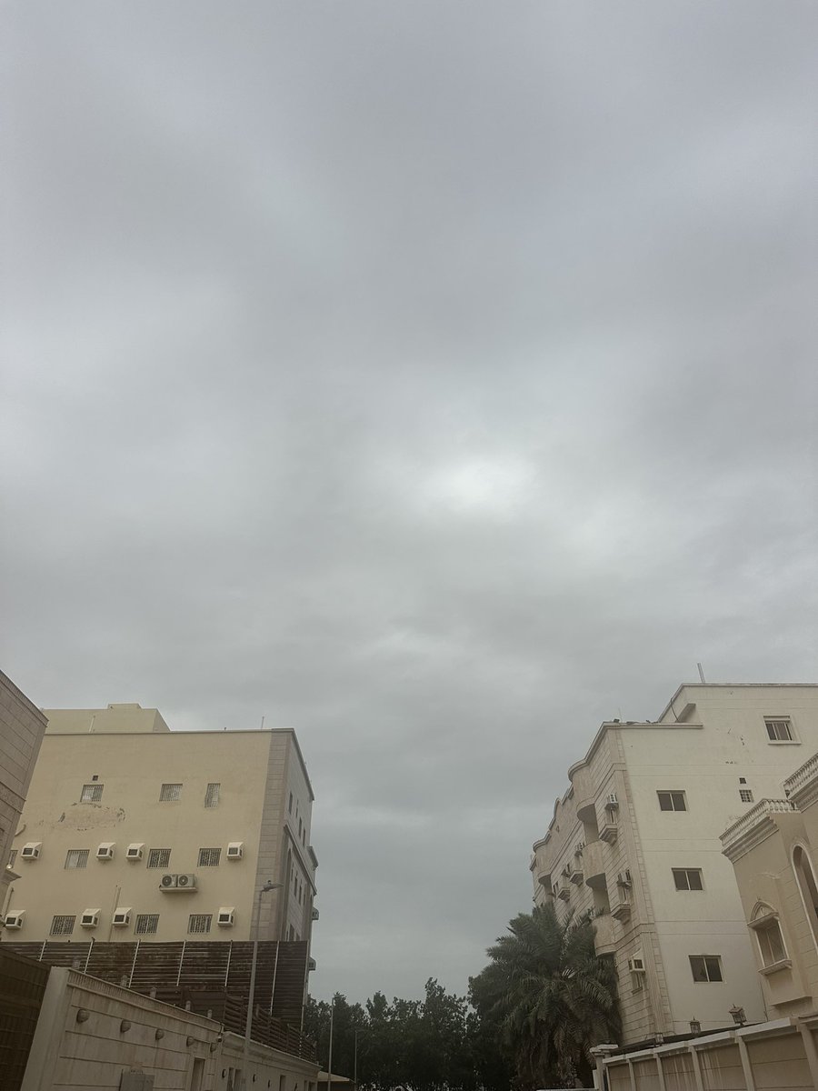 حاتم tweet media