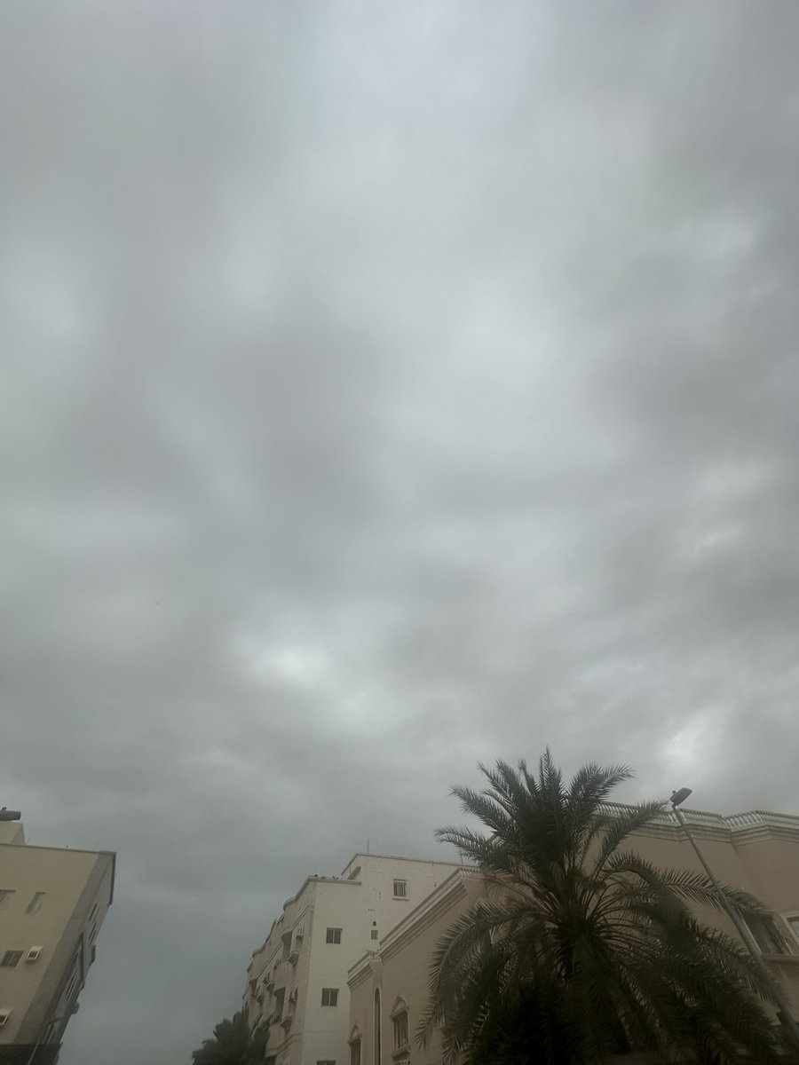 حاتم tweet media