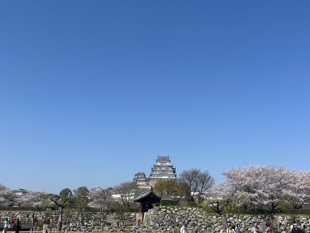 ESTA144's tweet photo. 快晴of快晴 https://t.co/OCEz5HYRwz