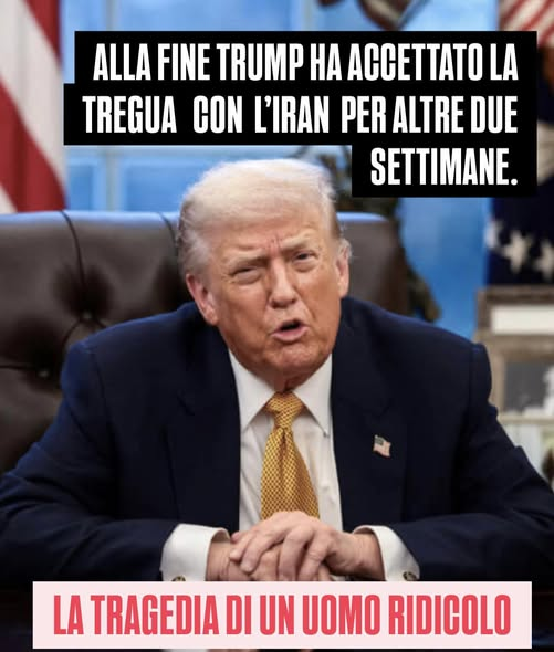 SereBellardinelli tweet media