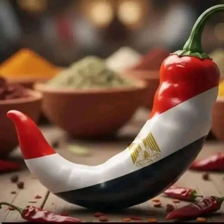 Manal🇪🇬☺️🇪🇬 tweet media