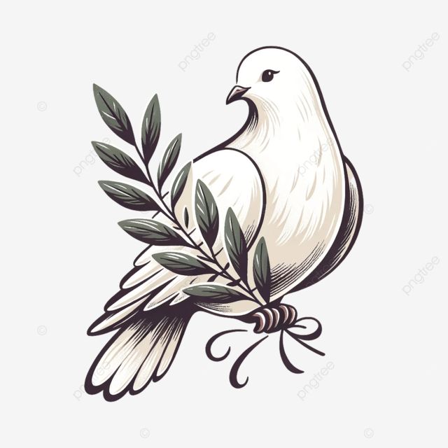 amerfarooq's tweet photo. Long live PEACE, long live PAKISTAN ❤️ https://t.co/RyvgGDUF2A