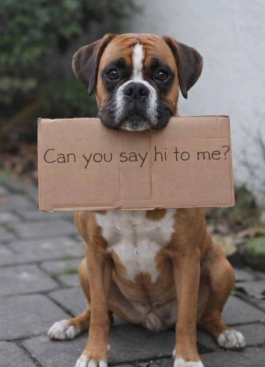 Popularpuppies © tweet media