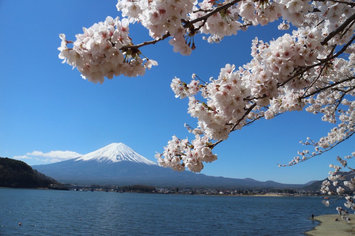 ˗ˏˋ 𝘊𝘩𝘢𝘤𝘰 🍃 𝘊𝘢𝘮𝘱 ˎˊ˗ tweet media