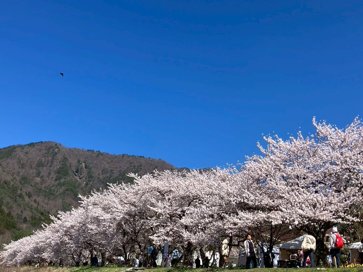 ˗ˏˋ 𝘊𝘩𝘢𝘤𝘰 🍃 𝘊𝘢𝘮𝘱 ˎˊ˗ tweet media