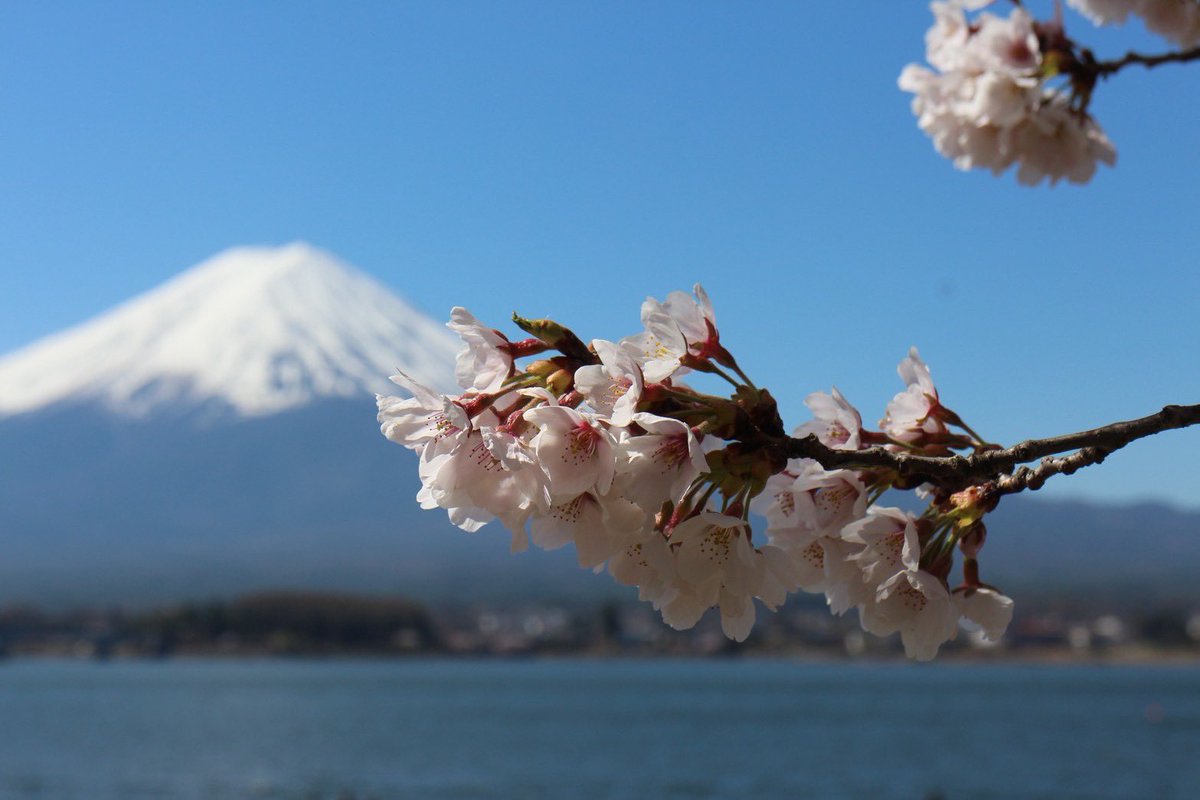 ˗ˏˋ 𝘊𝘩𝘢𝘤𝘰 🍃 𝘊𝘢𝘮𝘱 ˎˊ˗ tweet media