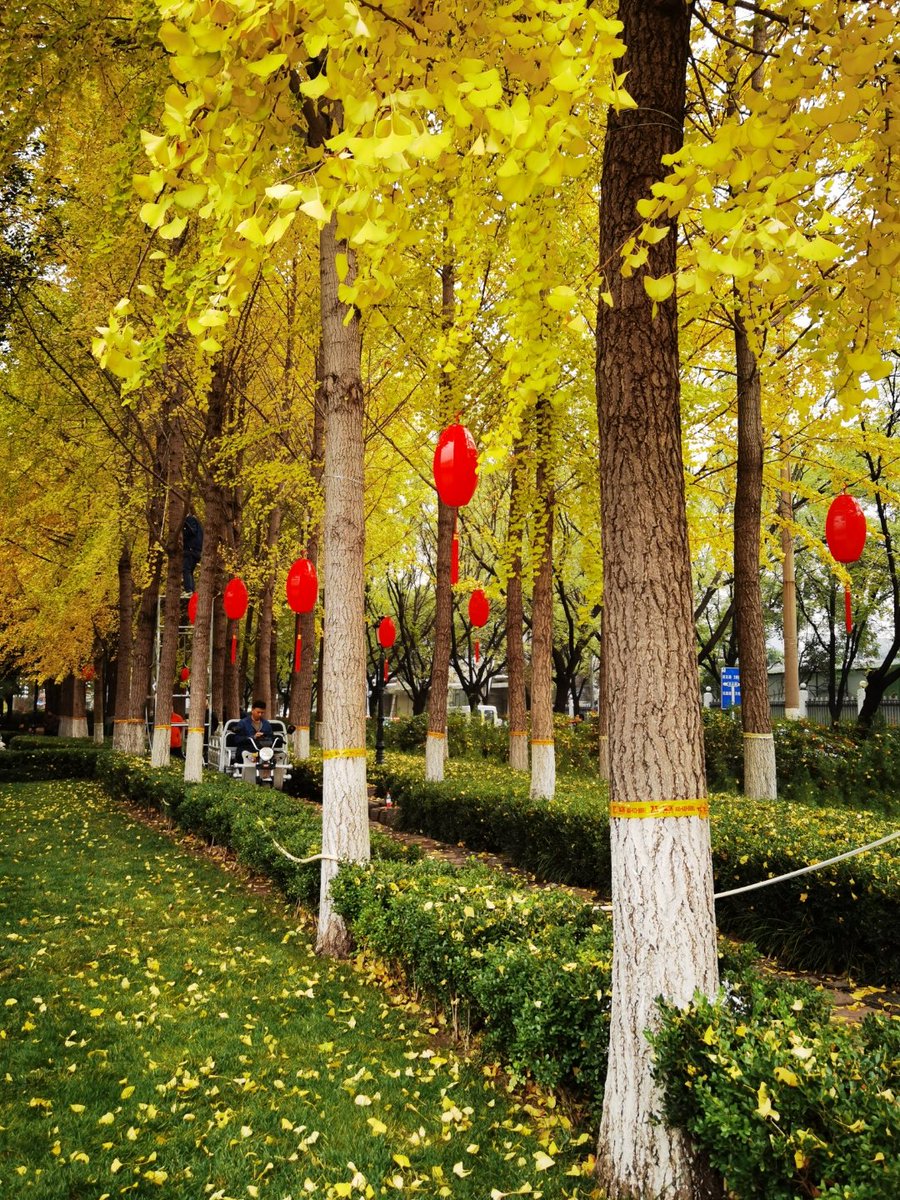 LAHOUCINE BAHFOUD tweet media