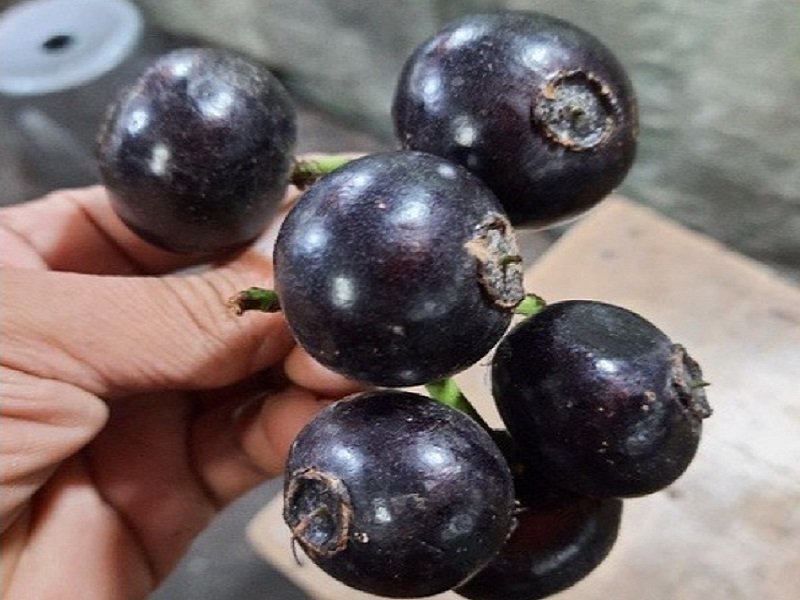 Y u s a n tweet media