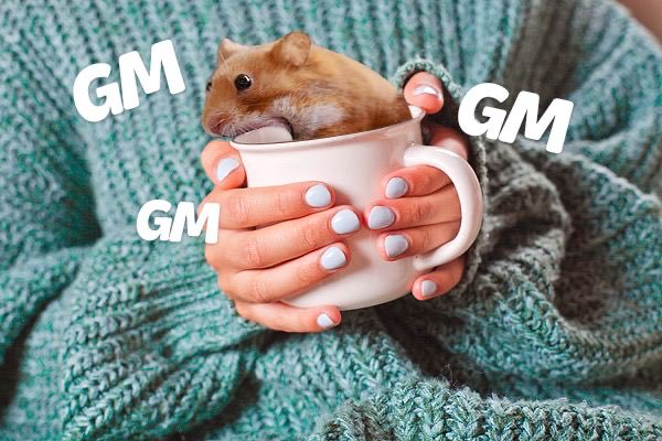 𝕭𝖆𝖘𝖘𝖔 tweet media