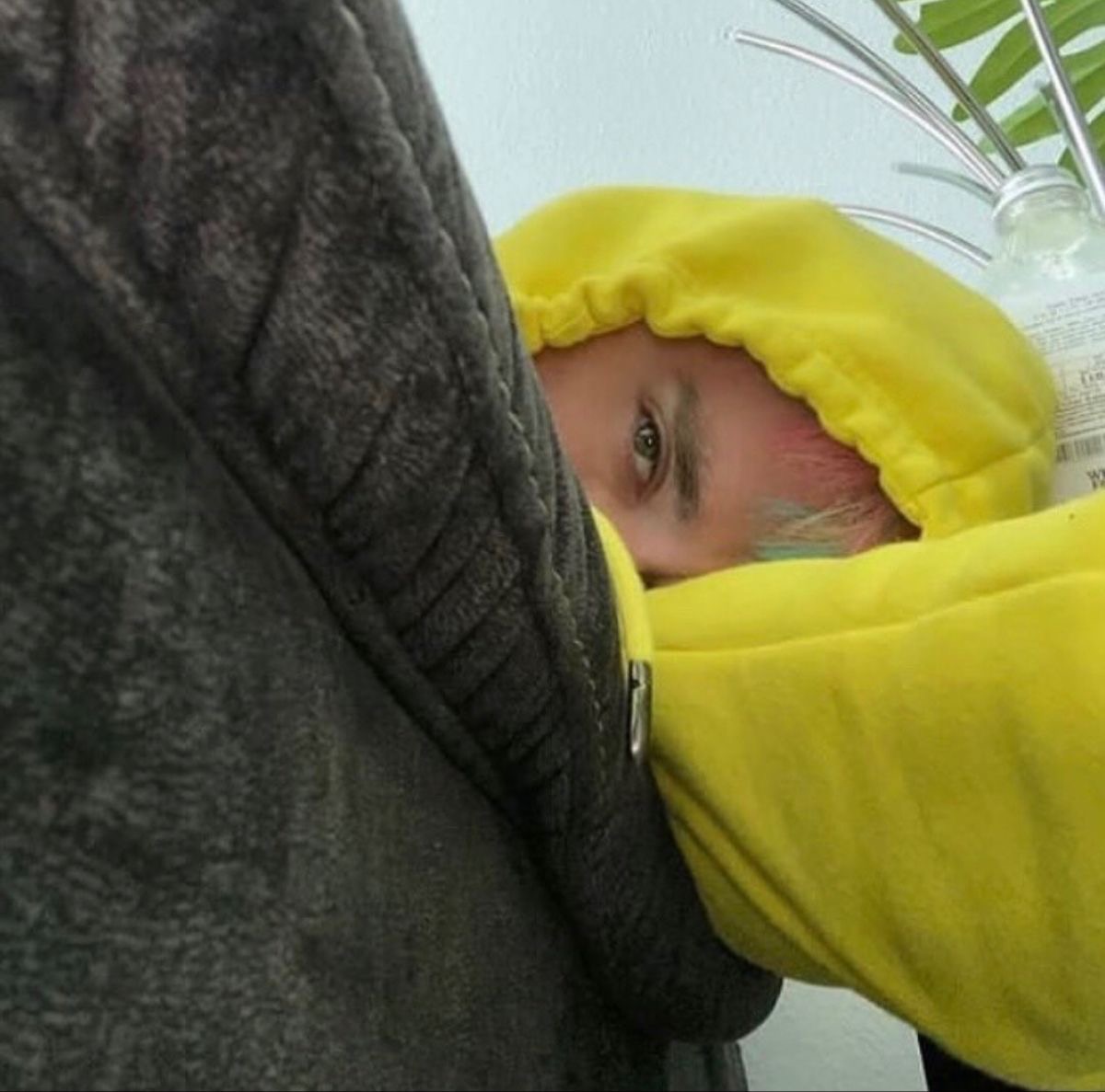 DAILY AWSTEN KNIGHT tweet media