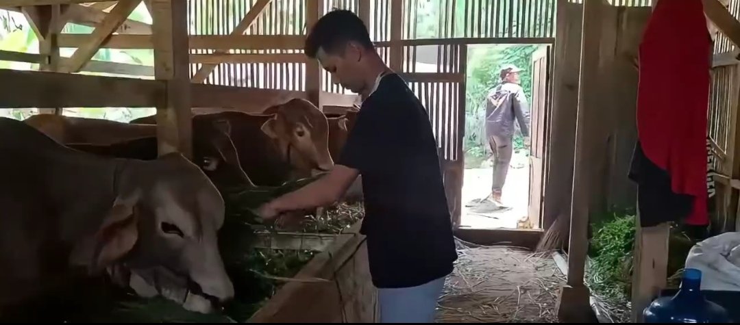TPP MEMBERSAMAI KETAHANAN PANGAN Pemanfaatan DD ujii Desa Nagarawa
<a href="/KemensetnegRI/">Sekretariat Negara</a> <a href="/YandriSusanto27/">Yandri Susanto</a> <a href="/ArizaPatria/">Ariza Patria</a>   
#KementerianDesaPDT
#BPSDMKementerianDesaPDT
#KetahananPanganDanaDesa
#KerjasamaBUMDesadanKDMP
#PendampingDesaKerjaBerdampak