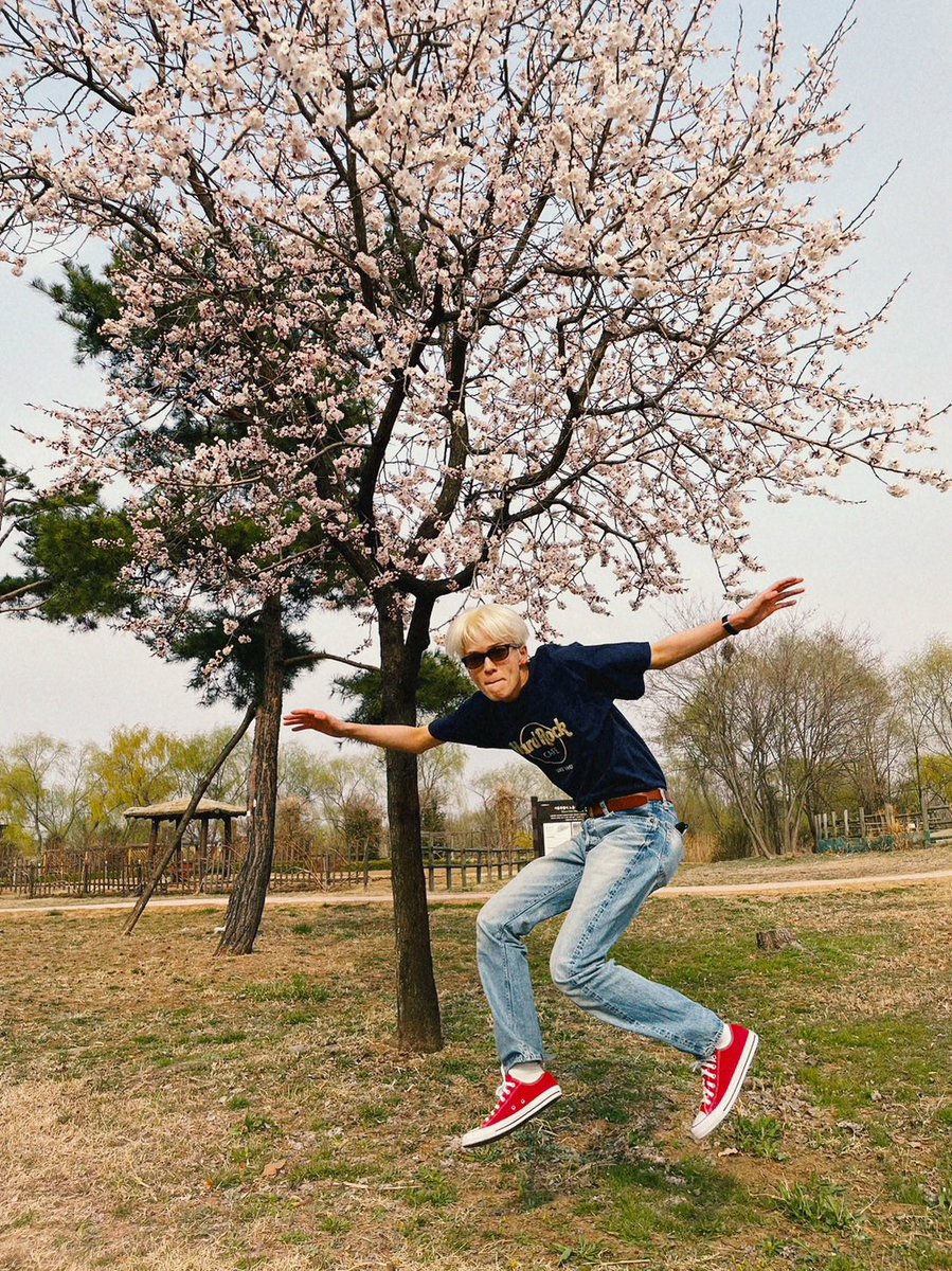 chip✨️ tweet media