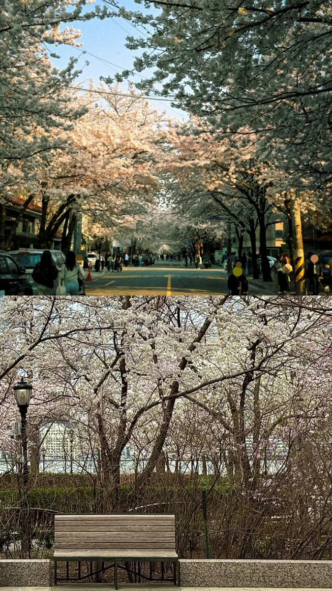 chip✨️ tweet media