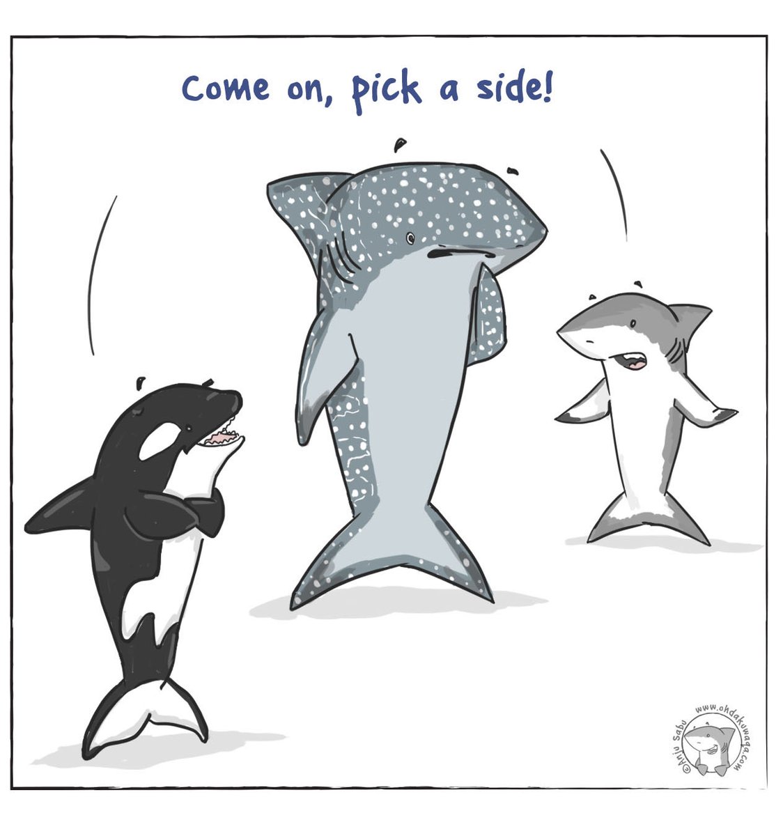 Anju Sabu🦈 tweet media