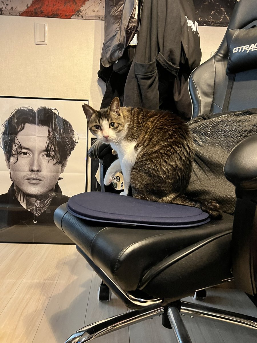 もめん@Live2Dモデリング依頼受付中 tweet media