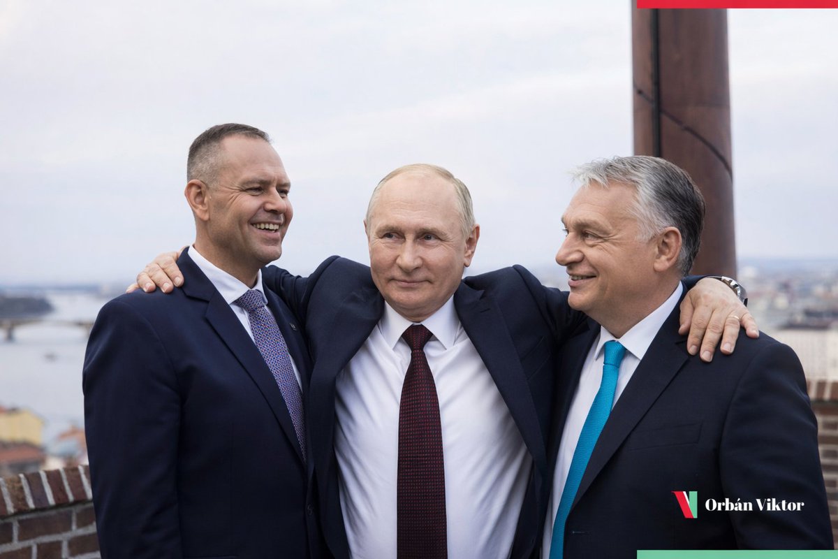 Katrin Second tweet media