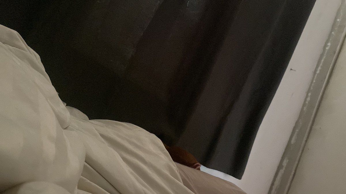 เฟิร์น tweet media