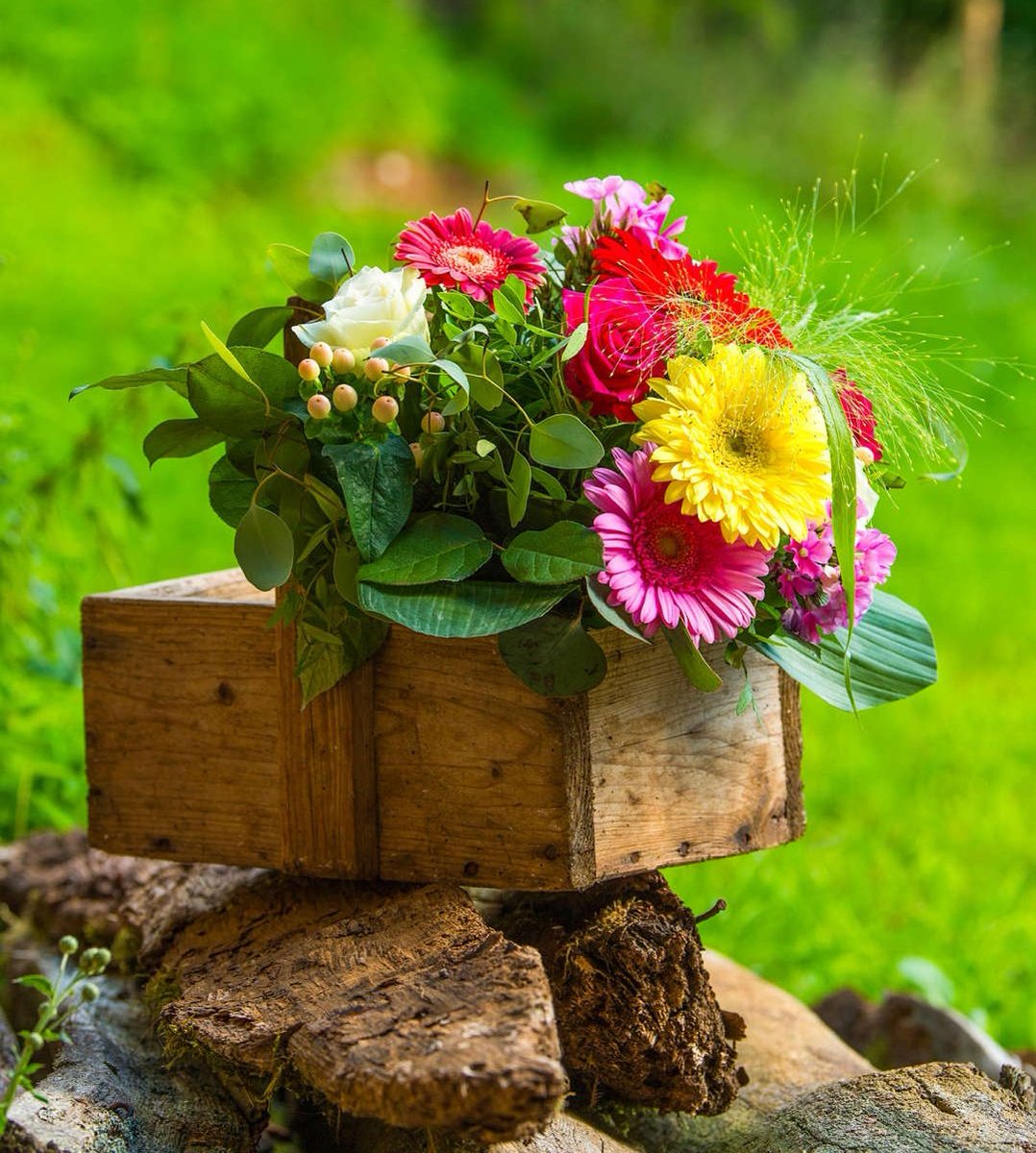 Steph_anie 💜 tweet media