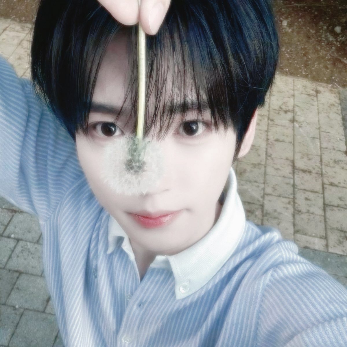 𝒴⋆˚ tweet media