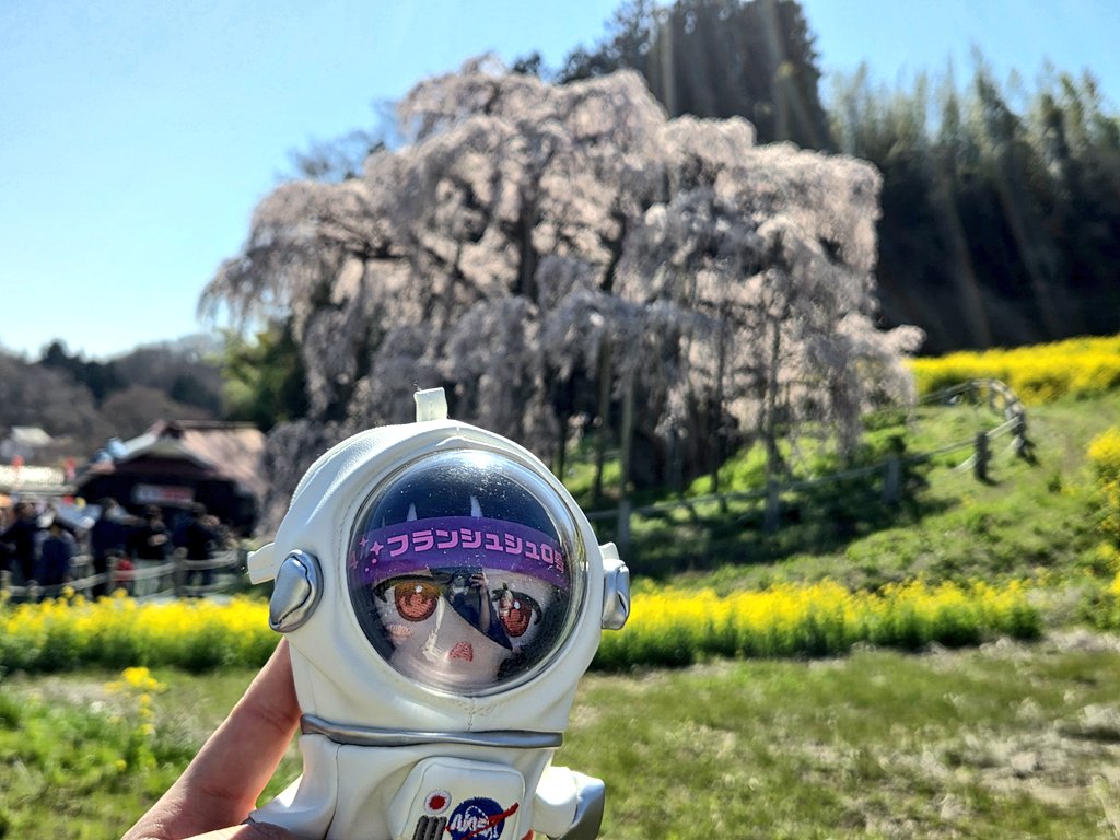 マシュー tweet media