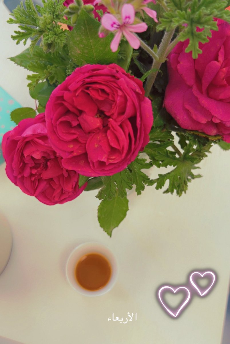 نقــــــاء العطــــــر 🎻 tweet media