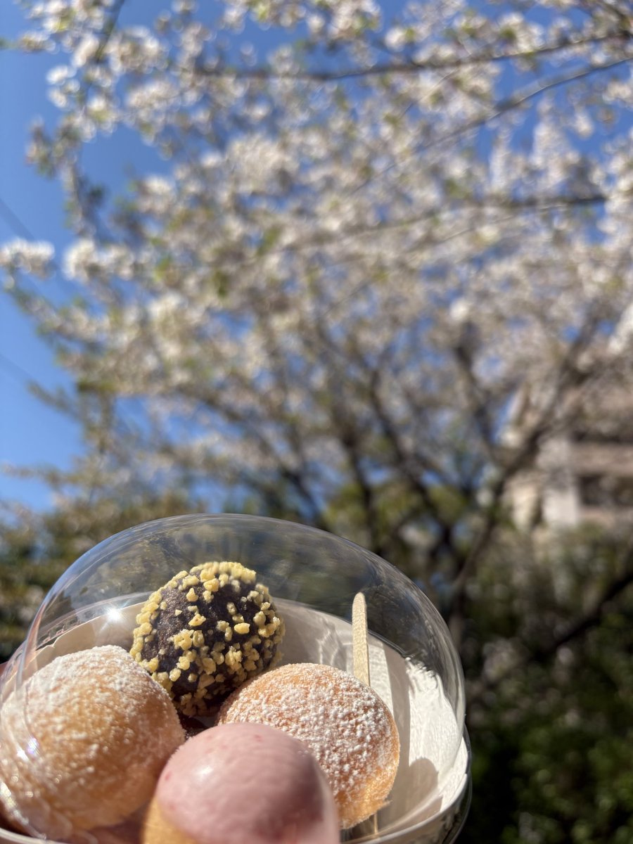 斉藤優紀 tweet media