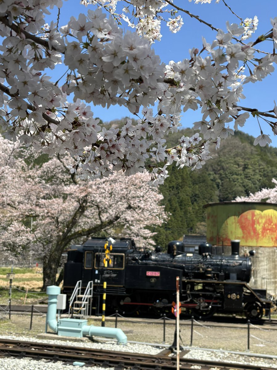 fumihito44's tweet photo. 花粉に負けずに‼️
#スポーツスター1200s
#若桜駅
#桜 https://t.co/WEZumcdJqF