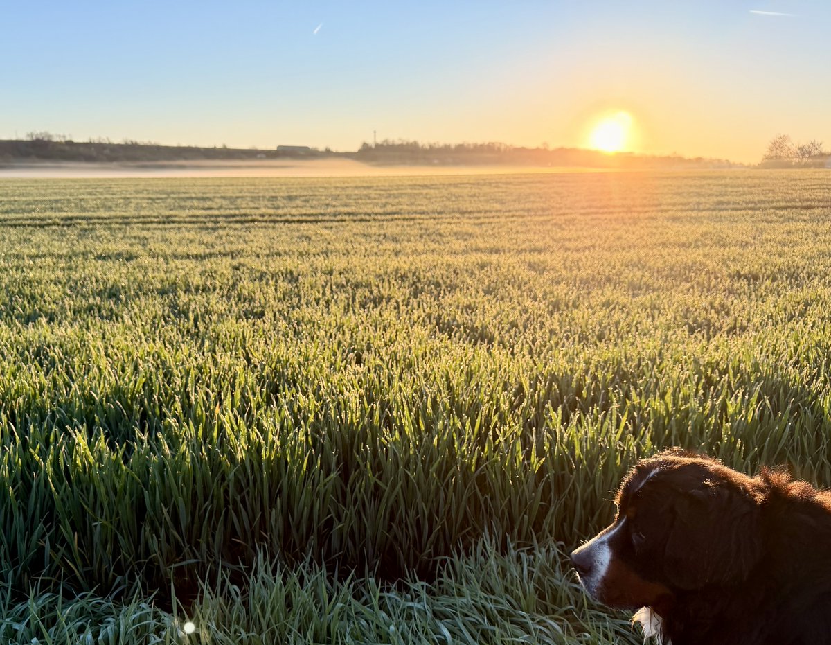 Wondermum tweet media