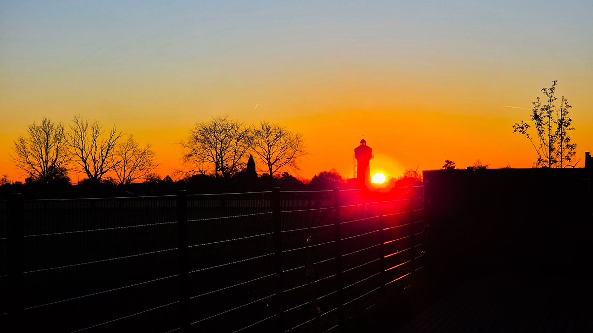 ᛒellᚱùnya tweet media