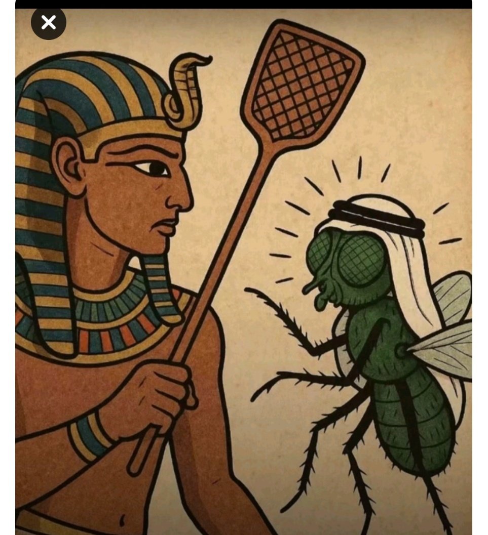 ahmed nasser tweet media