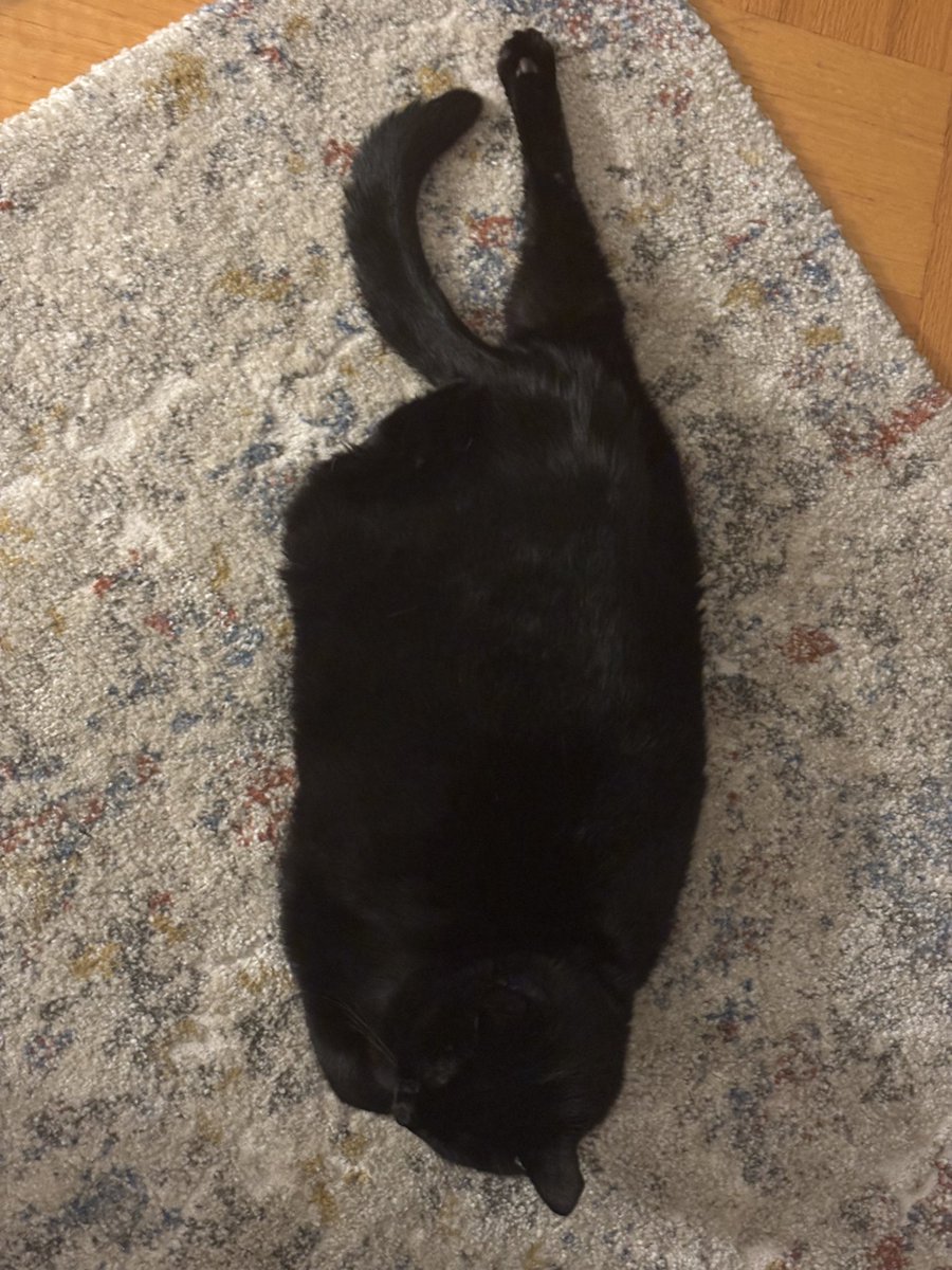 𝓯𝓻𝓮𝓪𝓴𝔂 frank langdon of edtwt tweet media